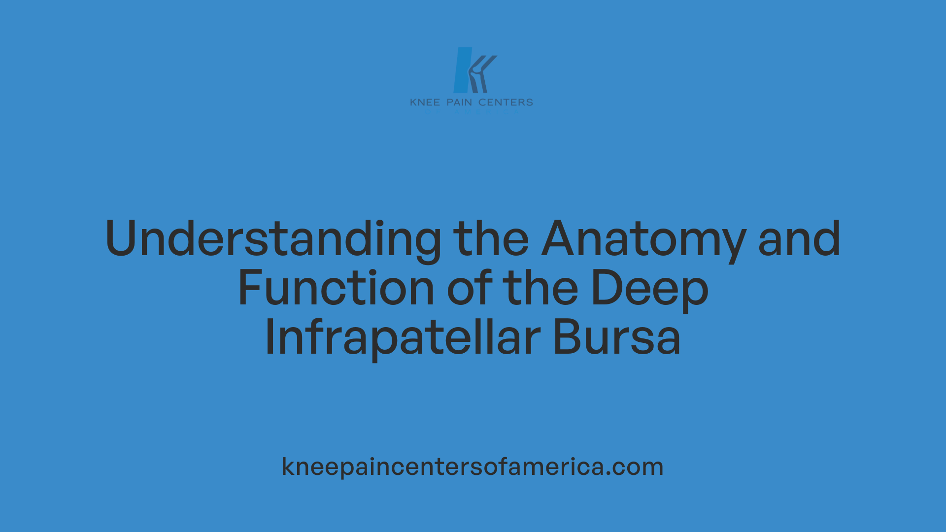 Understanding the Anatomy and Function of the Deep Infrapatellar Bursa