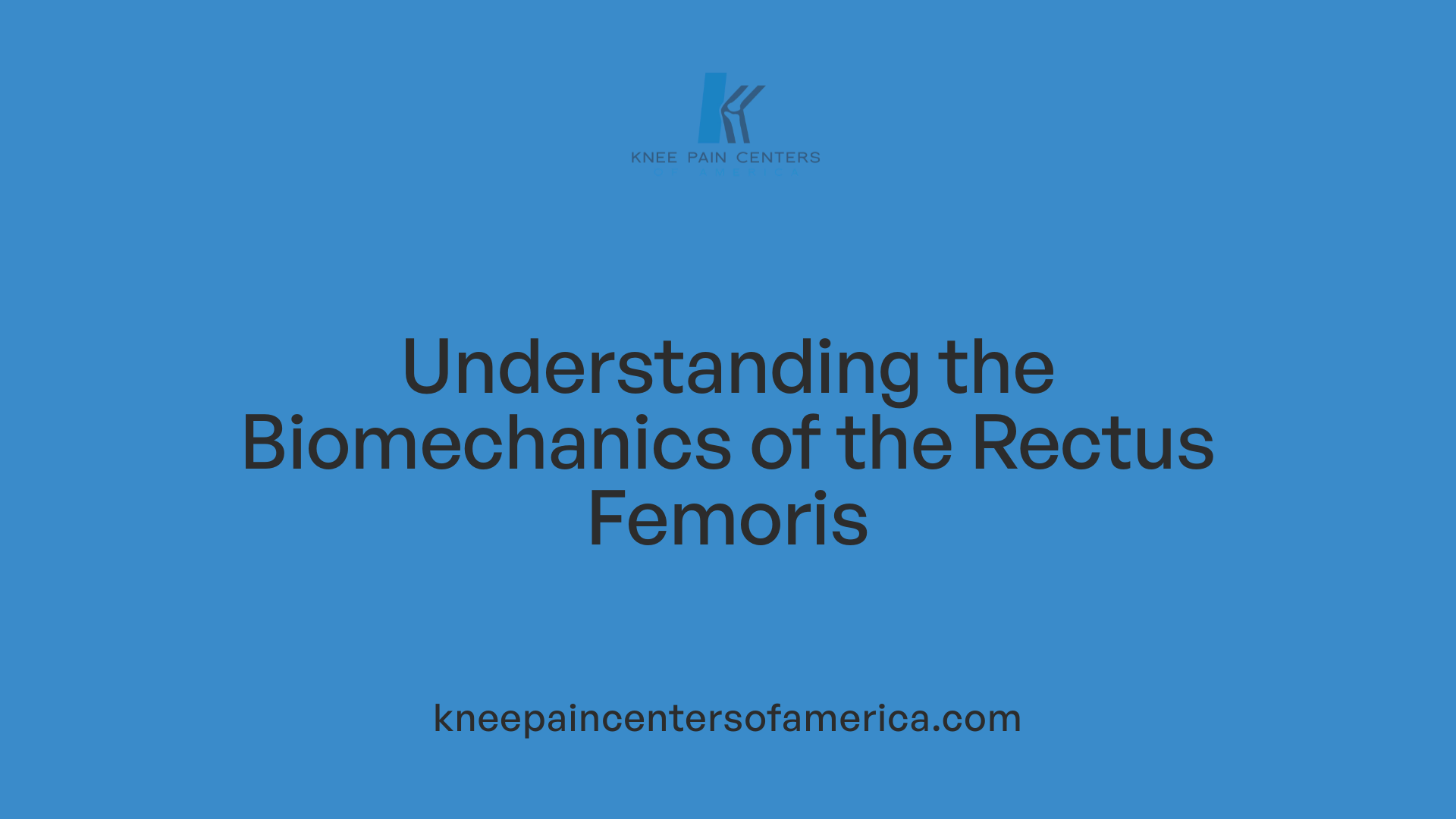 Understanding the Biomechanics of the Rectus Femoris